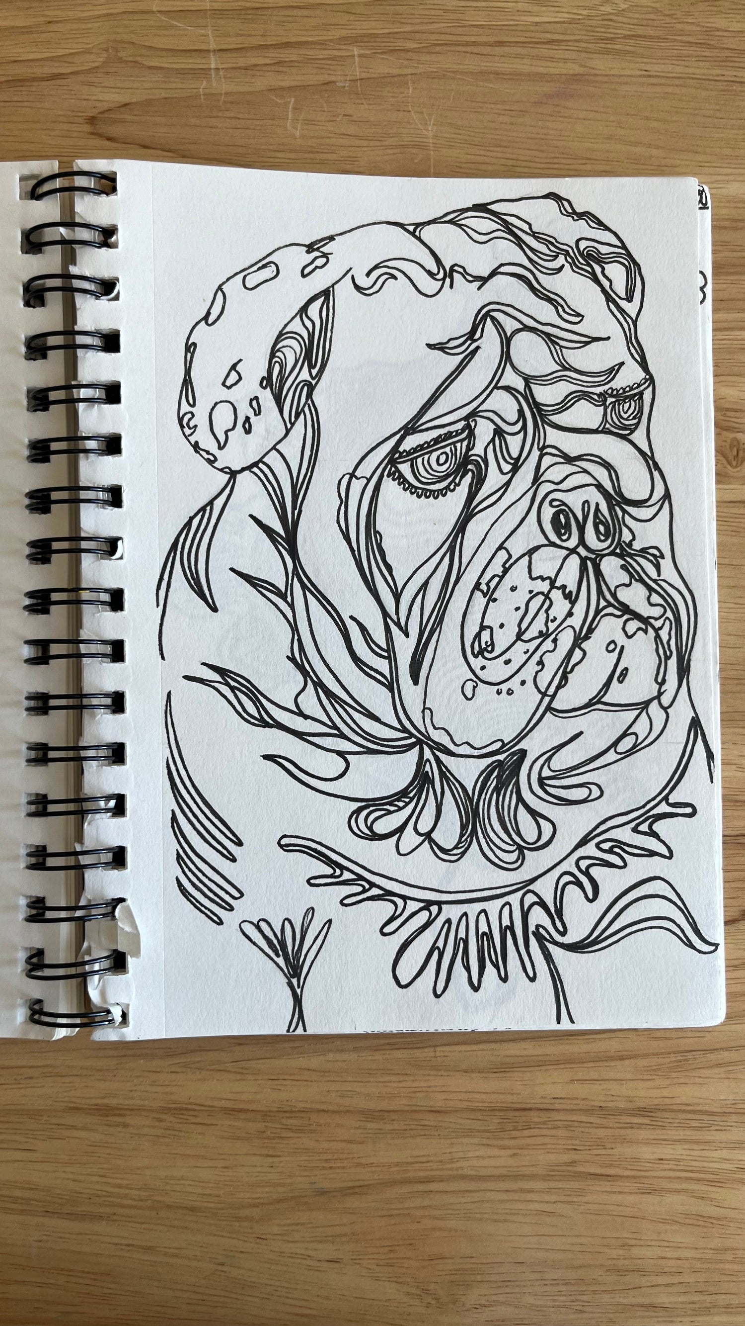 Drawings Collection